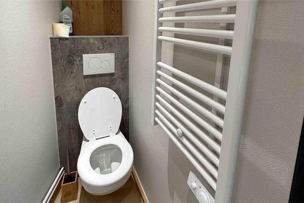 Métabief Charmant Chalet Le Bouton D'Orヴィラ エクステリア 写真